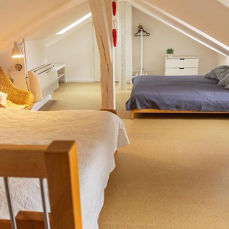 City Center Duplex Loft Κολμάρ Εξωτερικό φωτογραφία